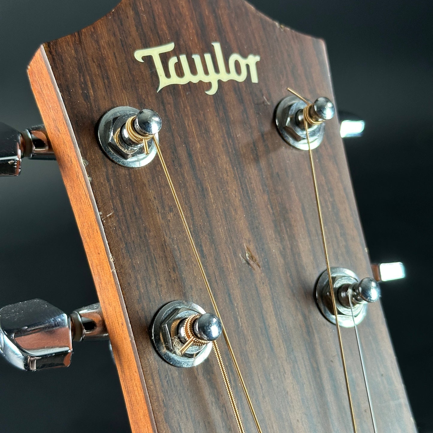 Close-up of a Taylor guitar headstock with tuning pegs and brand name.