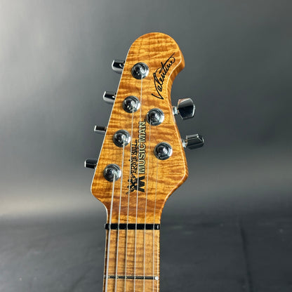 Guitar headstock with brand logo on a gray background