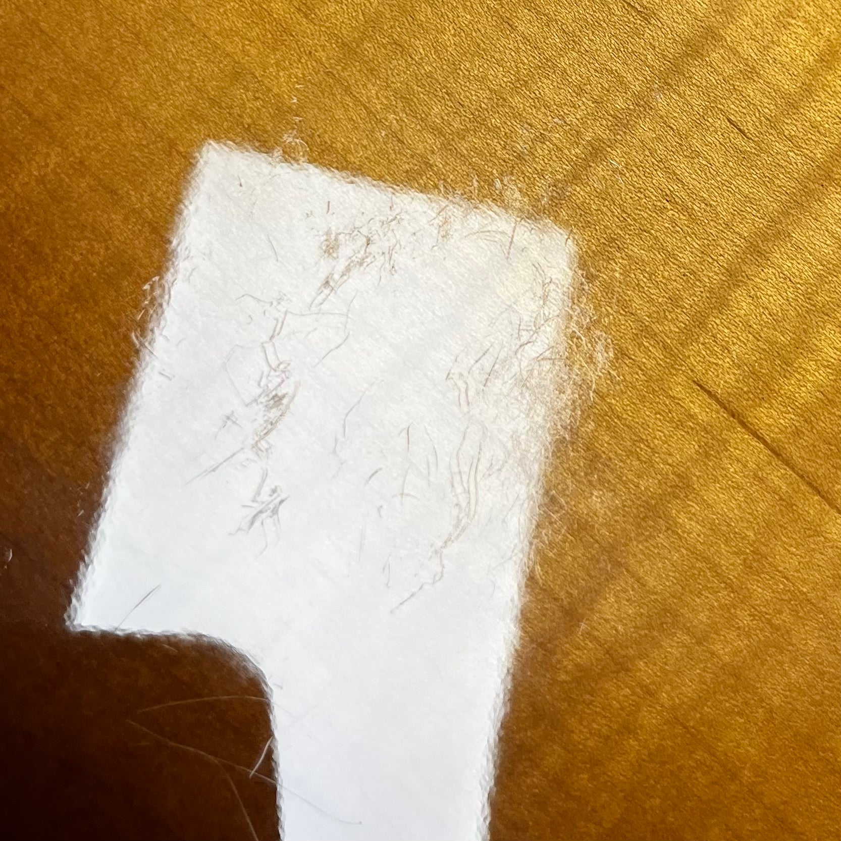 Buckle rash on back of Used 2010 Gibson J-165 Sunburst w/Case TFW2806