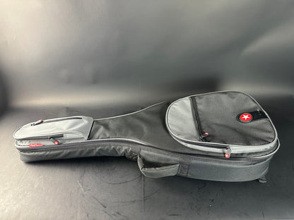 Gray guitar case with red logo on a gray background