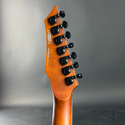 Close-up of a guitar neck with tuning pegs against a gray background