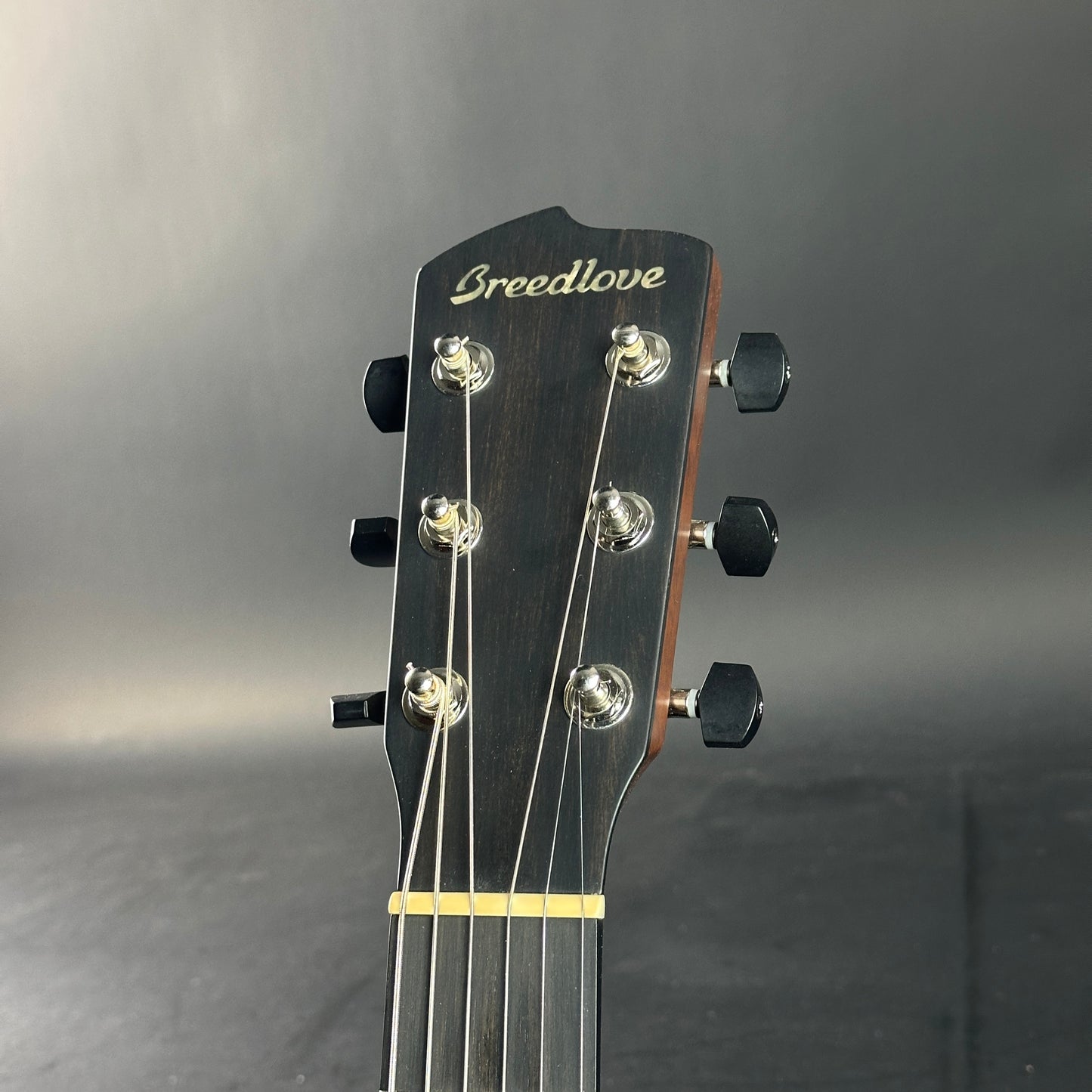 Guitar headstock with 'Breedlove' branding on a gray background