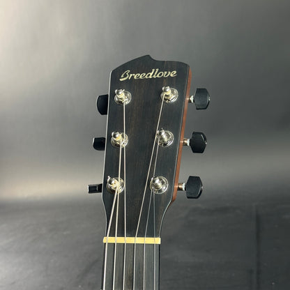 Guitar headstock with 'Breedlove' branding on a gray background
