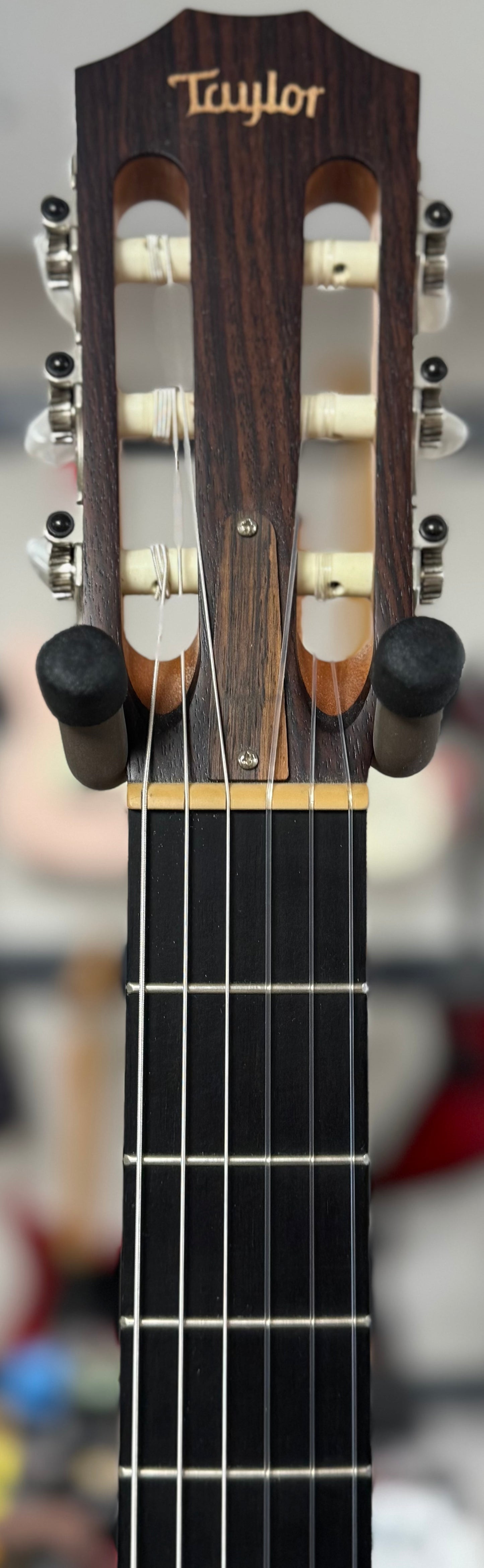 Front of neck of Used 2011 Taylor NS24ce-G Nylon Natural w/bag TSS6241