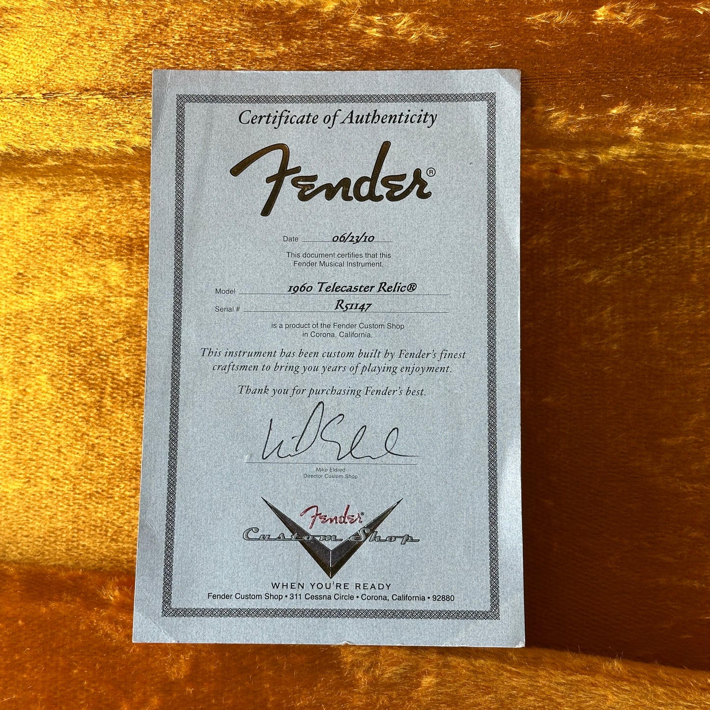 Fender Certificate of Authenticity on a gold background