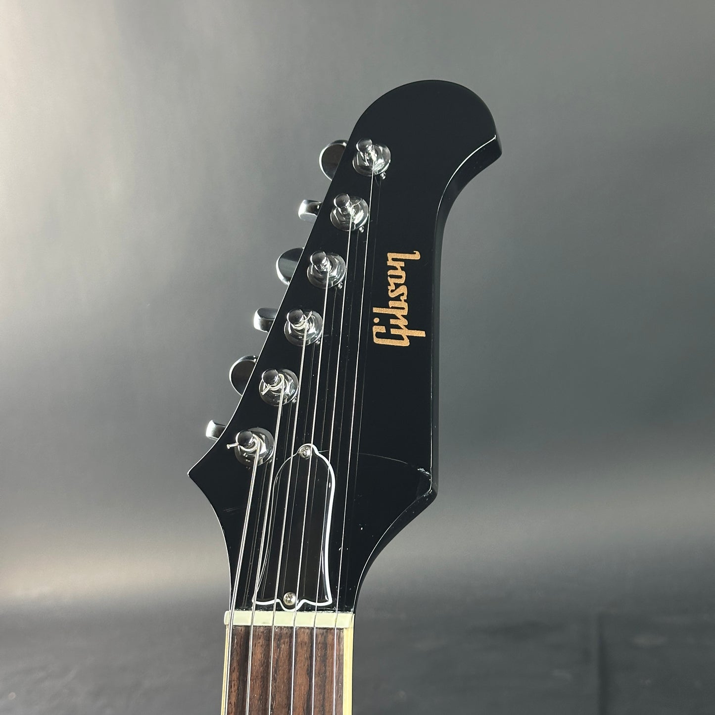 Gibson guitar headstock on a gray background