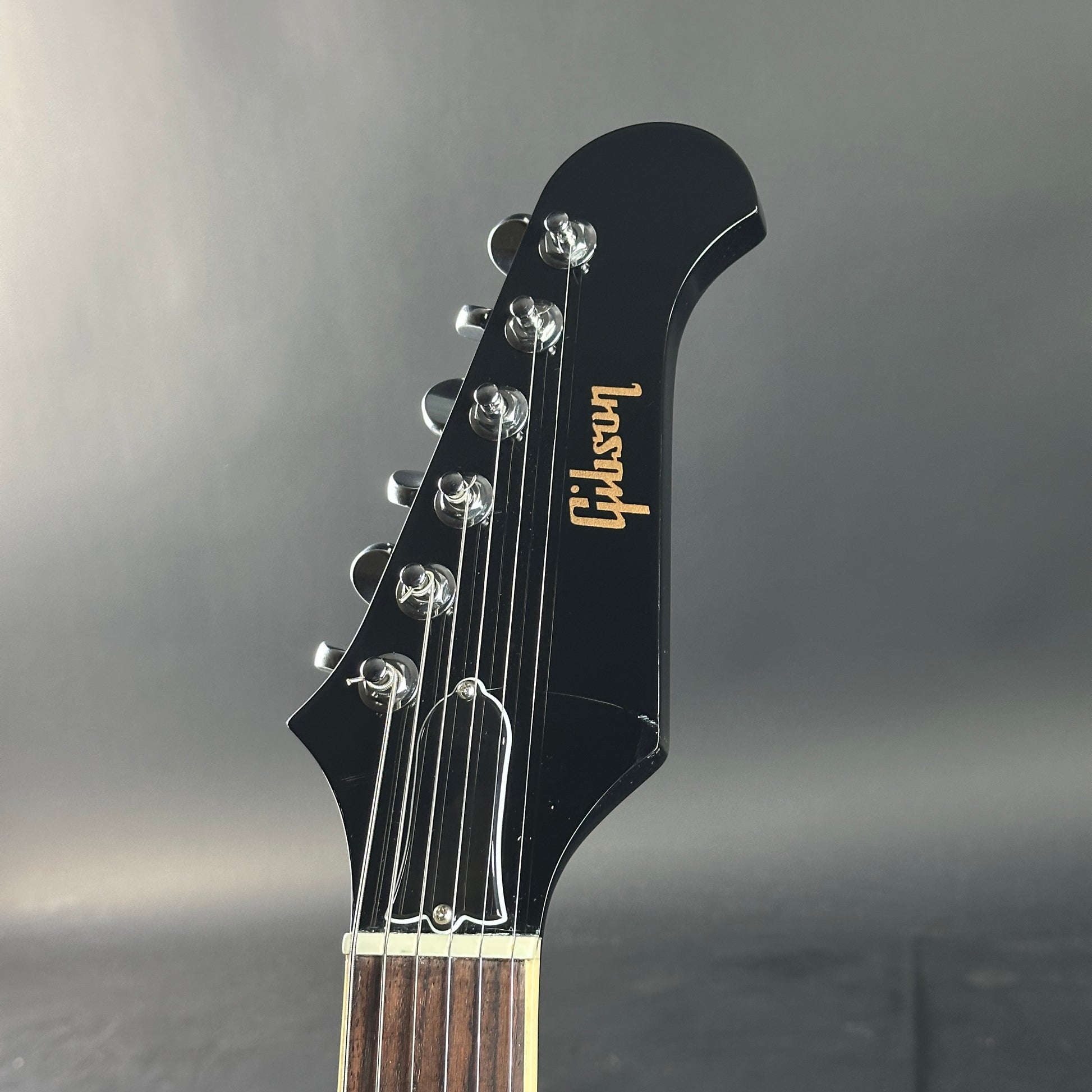 Gibson guitar headstock on a gray background