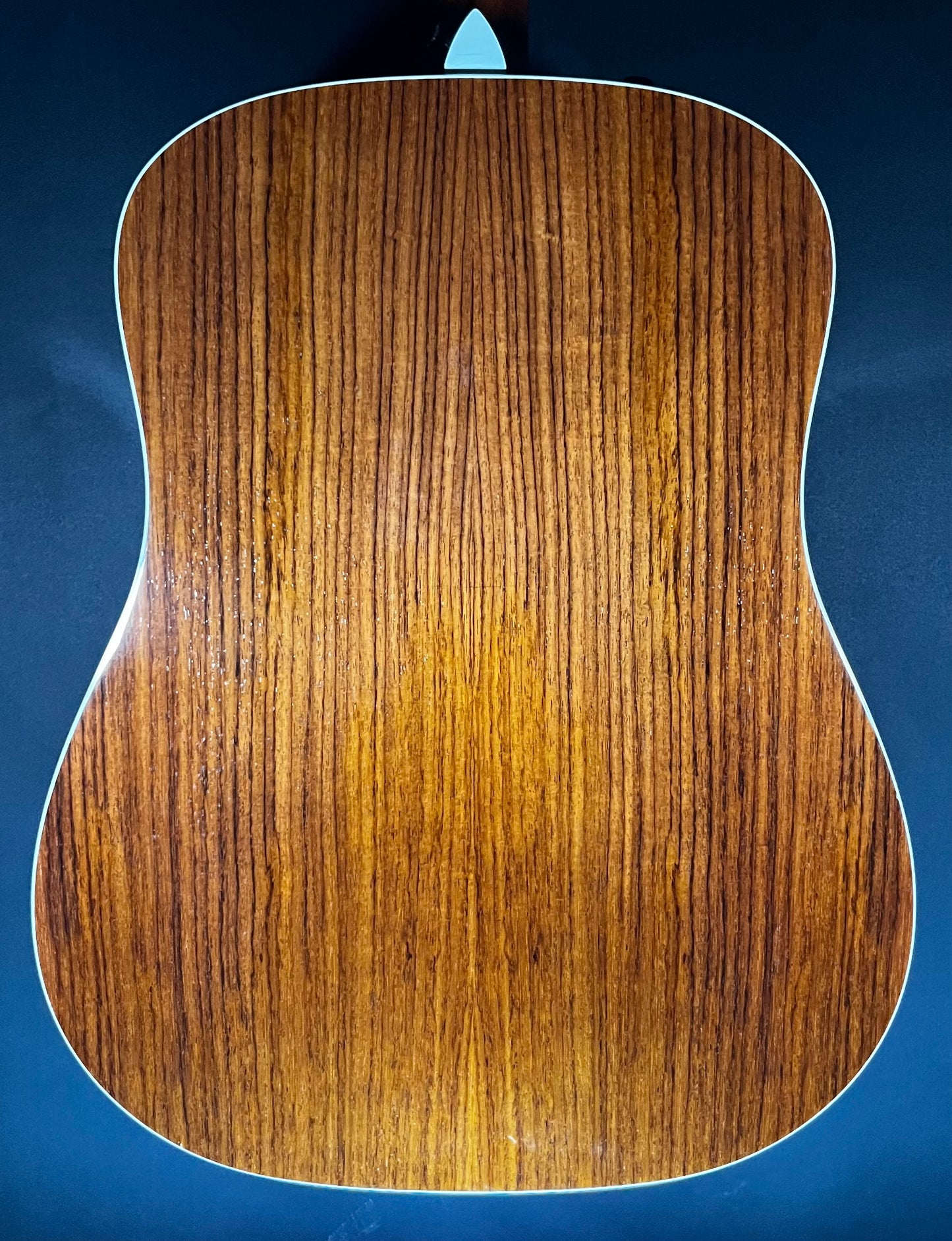Back of Used 2015 Taylor 210e-SB Deluxe w/case TFW260