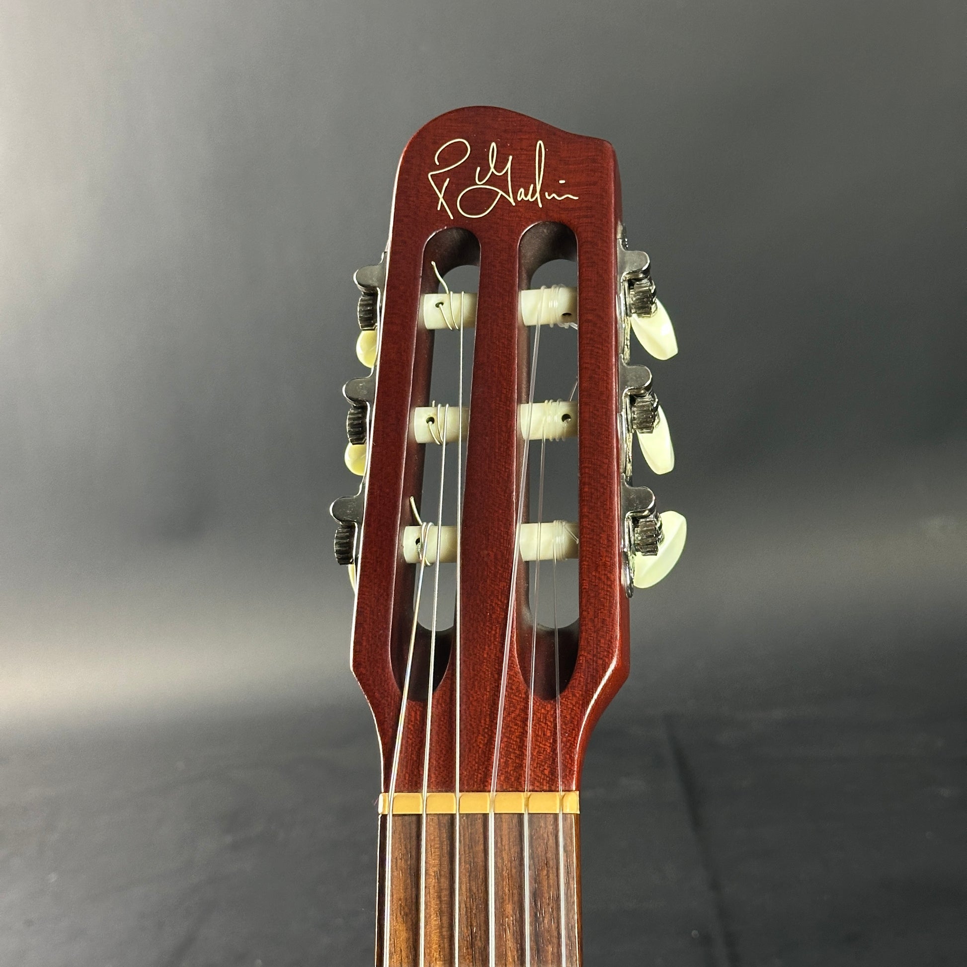Close-up of a guitar's headstock with brand name on a gray background