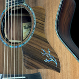 Close-up of a Taylor acoustic guitar with a focus on the soundhole and brand logo.