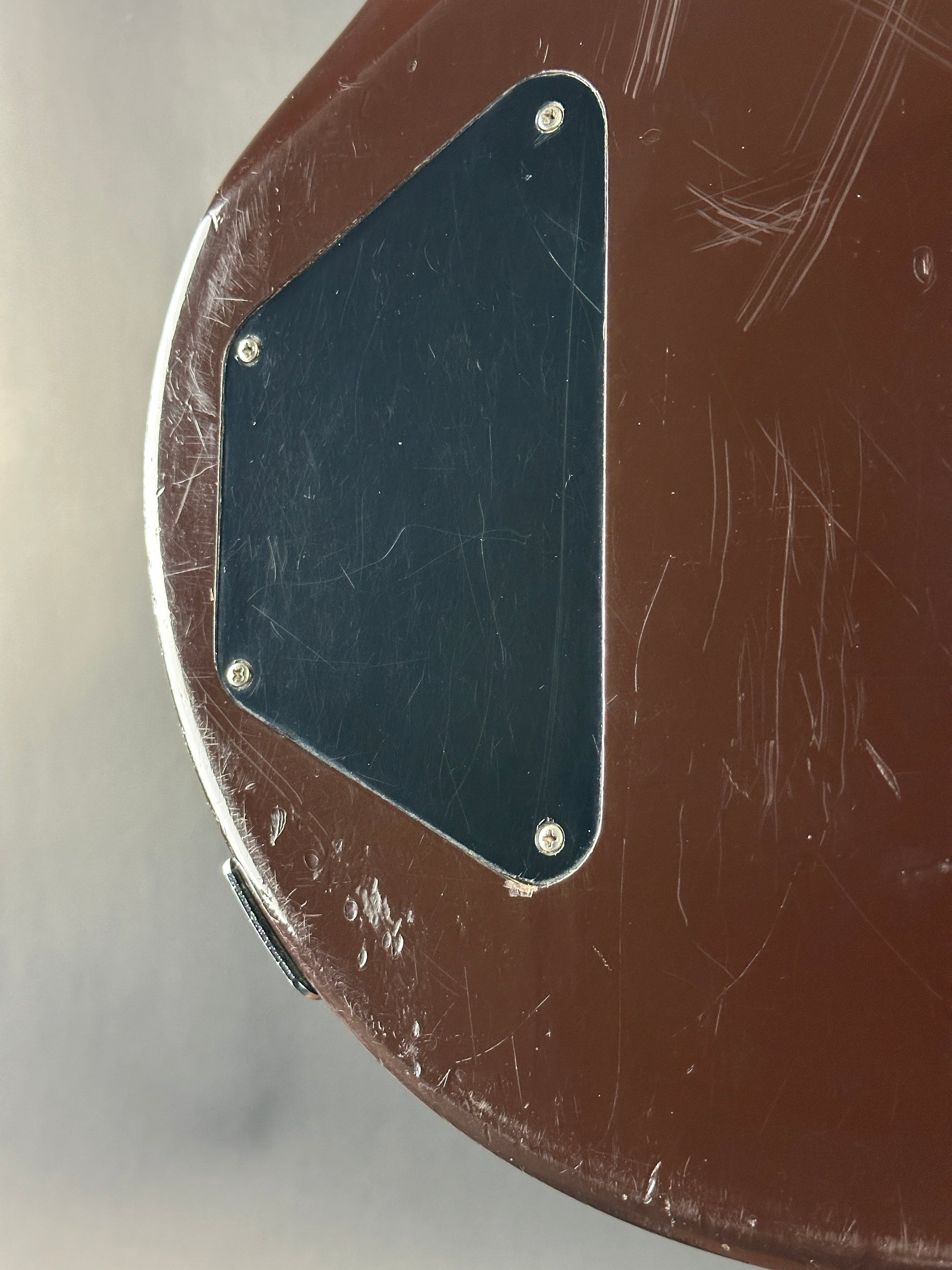 Close-up of a brown leather item with a metal plaque and screws on a gray background