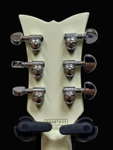Guitar headstock with tuning pegs on a white background