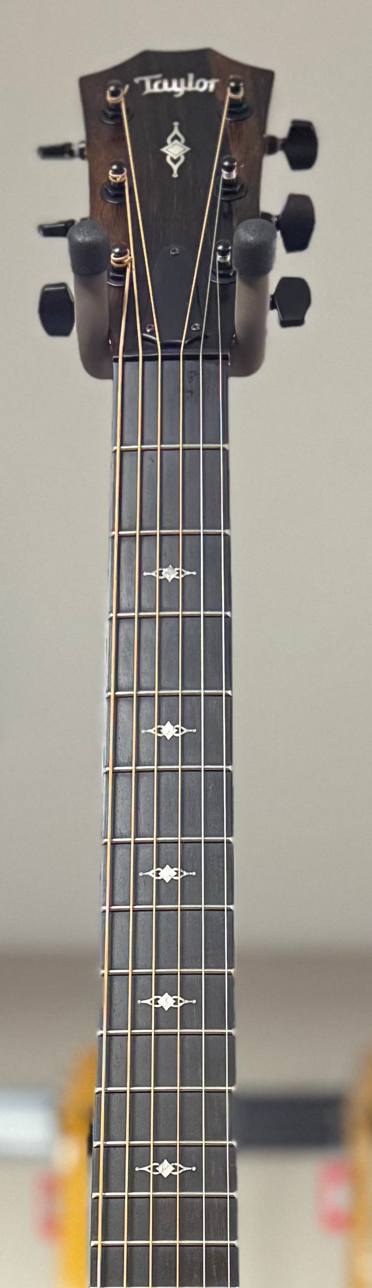 Front of neck of Used Taylor 324ce Shaded Edgeburst w/case TSS6379