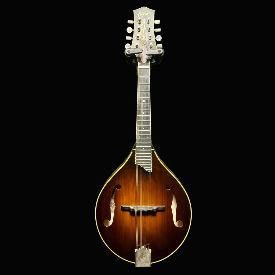 Mandolin on a gray background