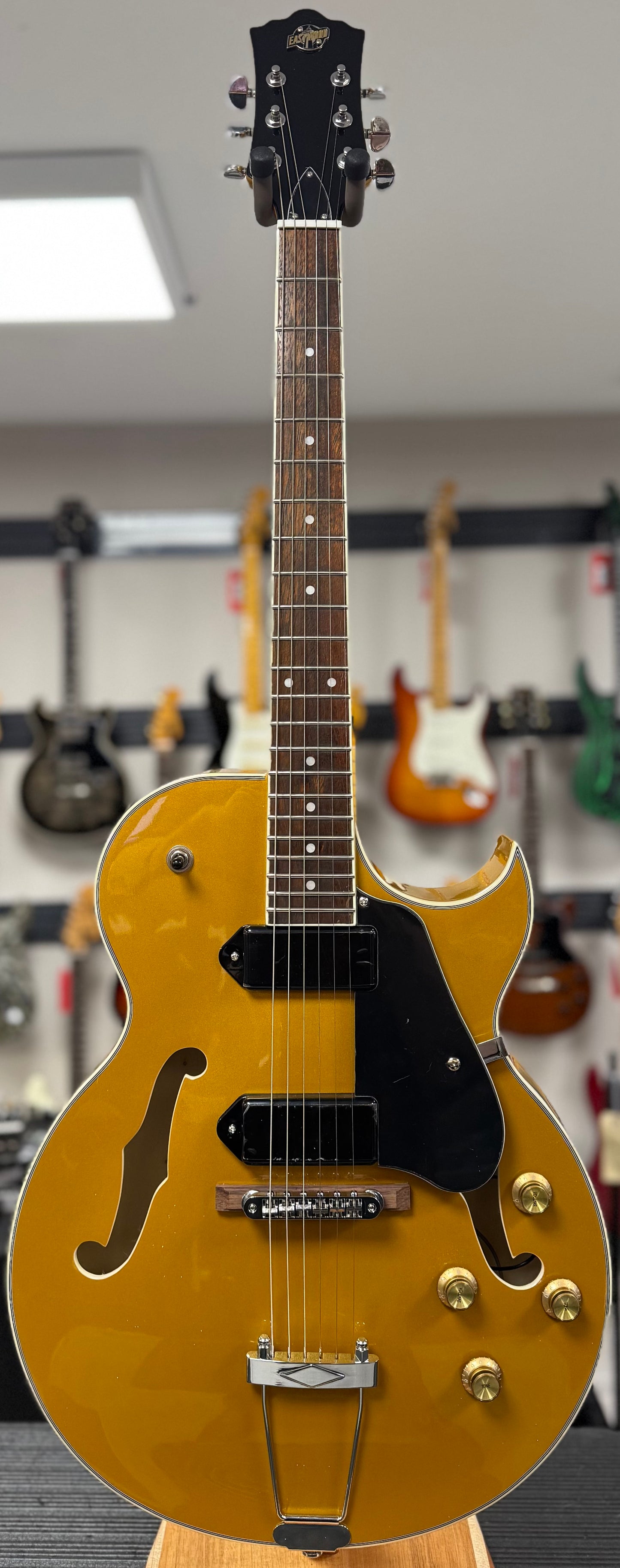 Front of whole Used Eastwood EG-P90 w/case TSS6412