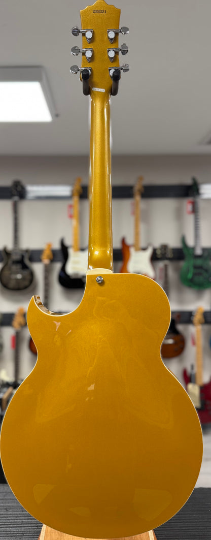 Back of whole Used Eastwood EG-P90 w/case TSS6412