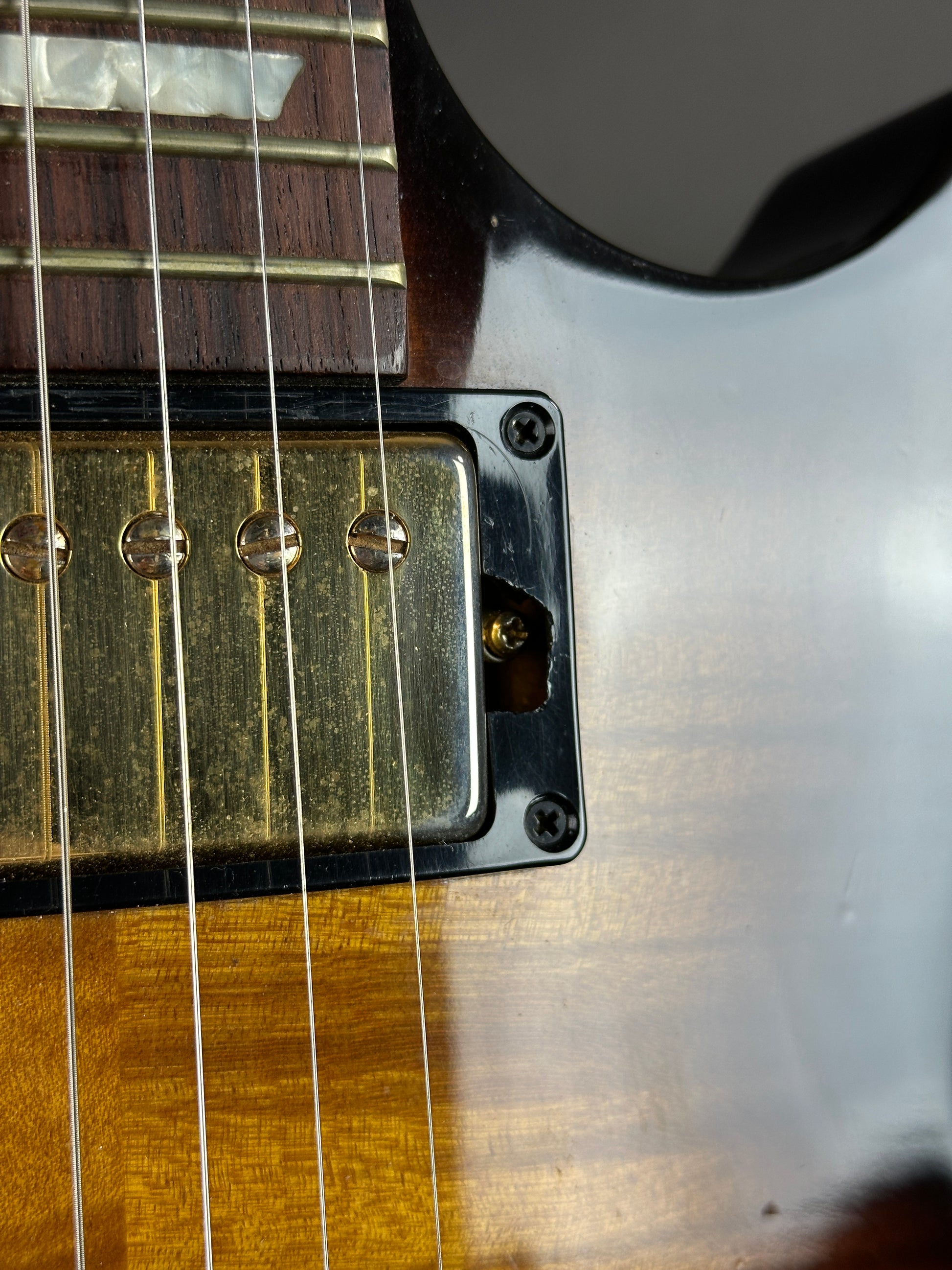 Close-up of a guitar's pickup and strings