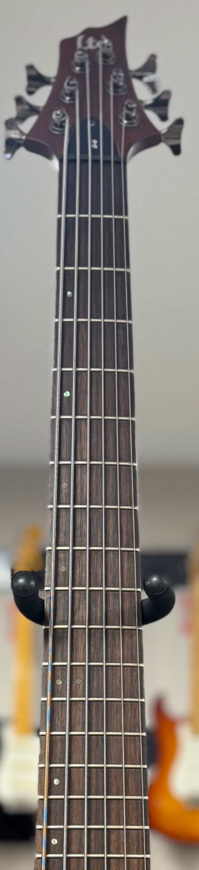 Front of neck of Used 2017 ESP LTD D-6 Six String Bass Natural-Satin w/Case TSS6436