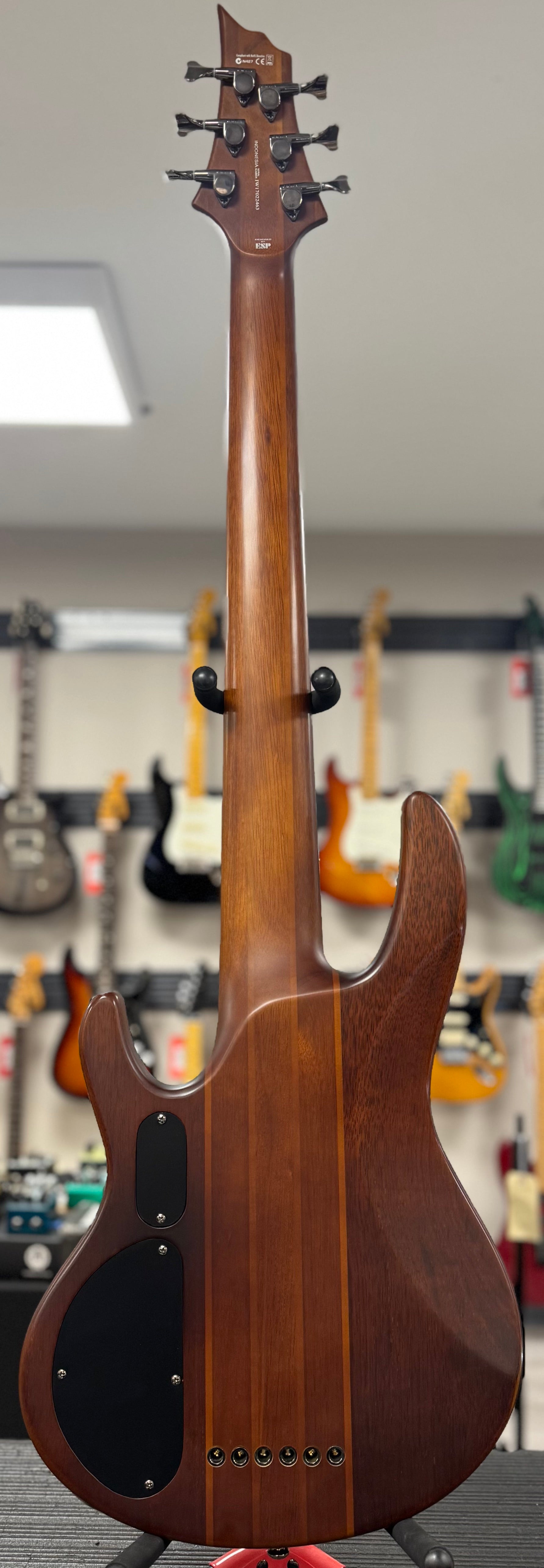 Back of whole Used 2017 ESP LTD D-6 Six String Bass Natural-Satin w/Case TSS6436