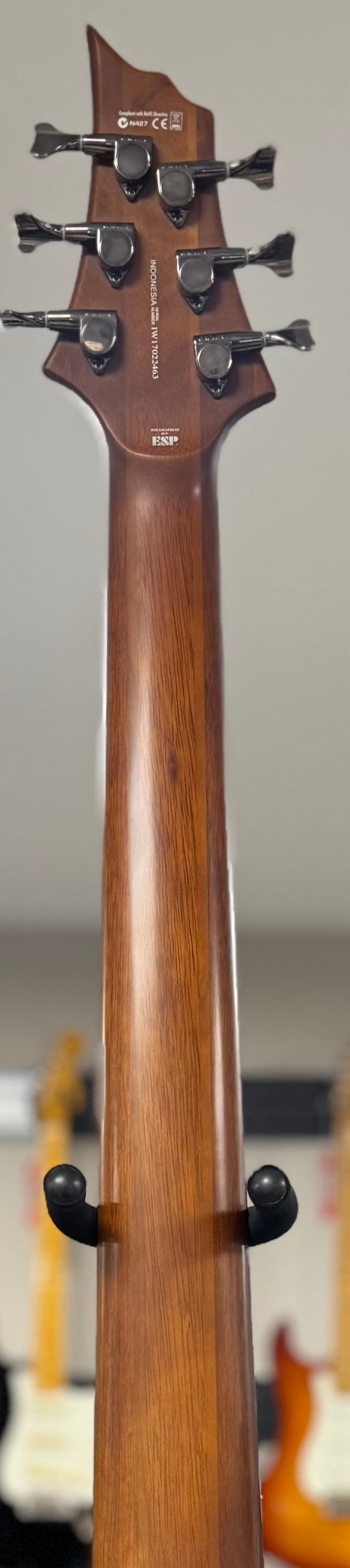 Back of neck of Used 2017 ESP LTD D-6 Six String Bass Natural-Satin w/Case TSS6436