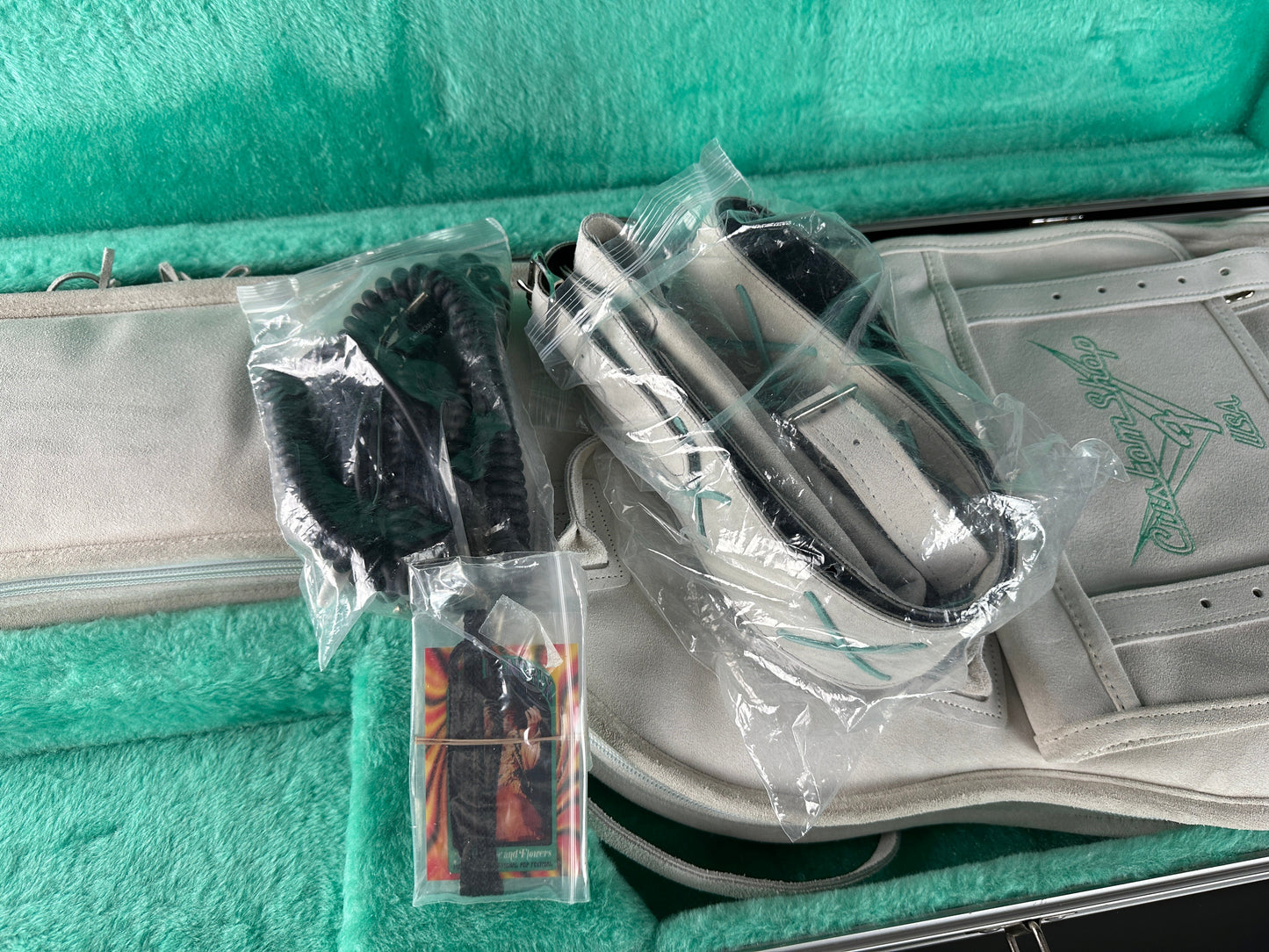 Guitar case with accessories including a strap and cleaning brush on a green surface.