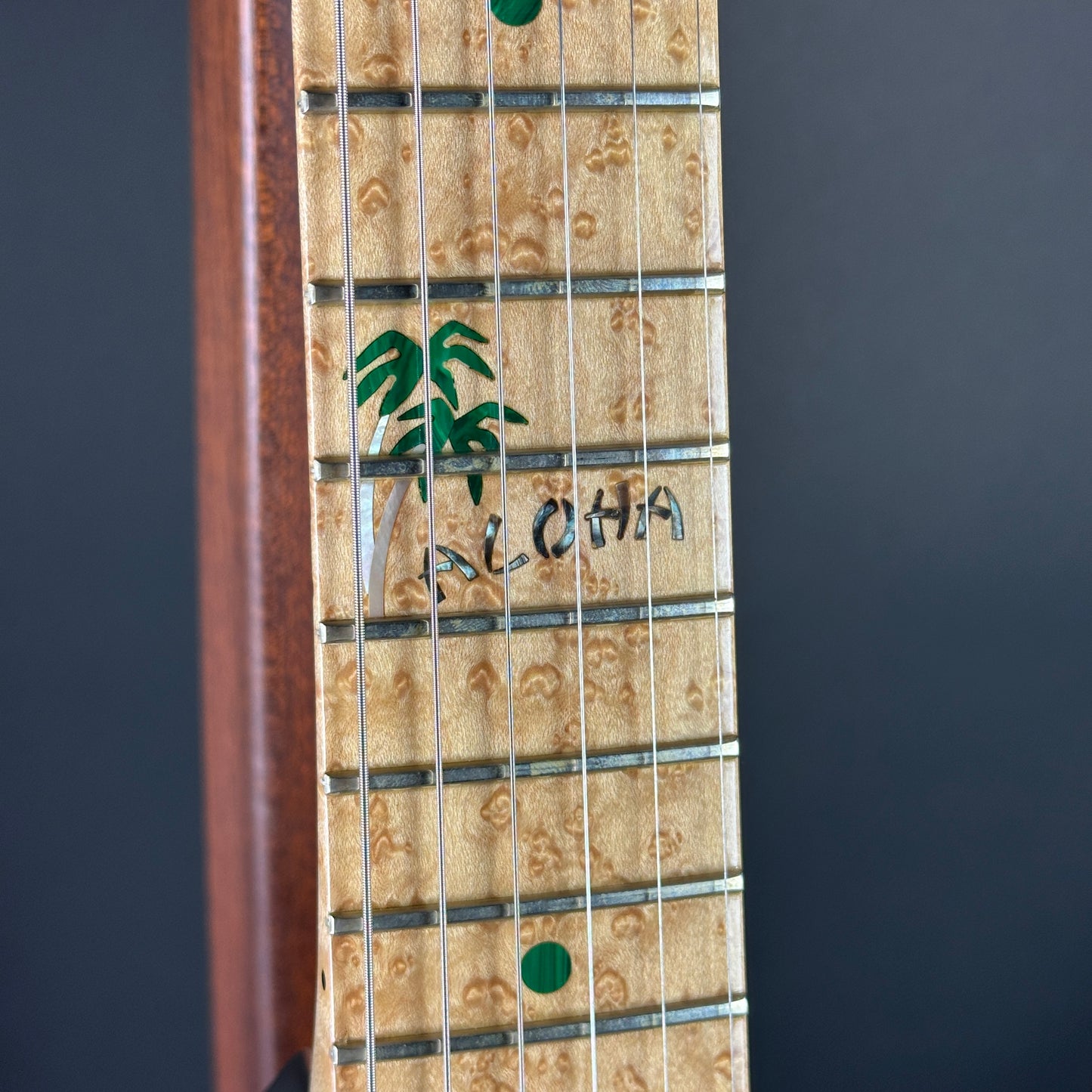 Close-up of a guitar neck with 'Aloha' branding on a dark background