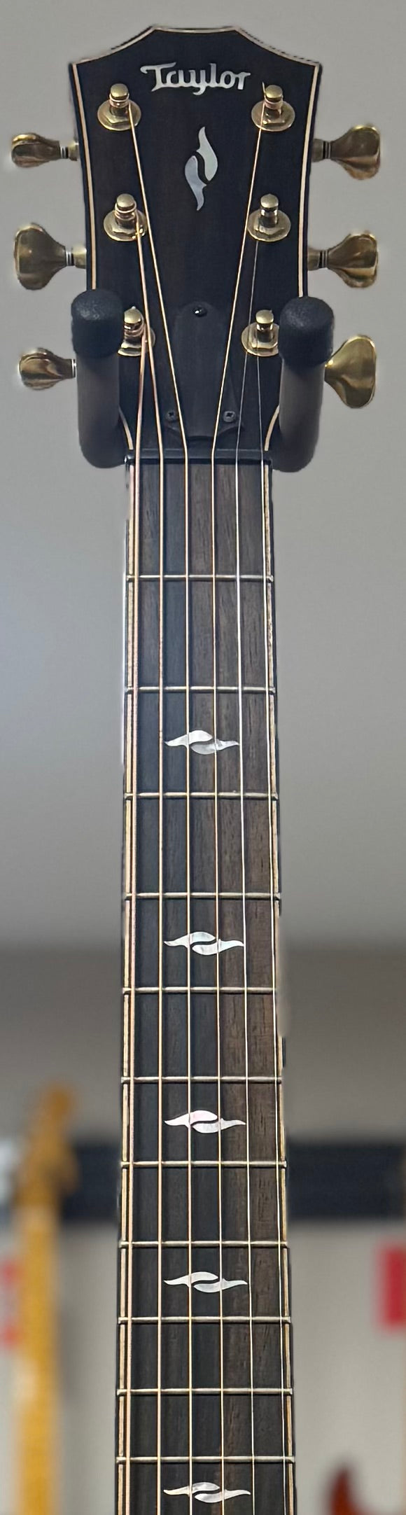 Front of neck of Used Taylor 814ce Builder's Edition w/case TSS6440