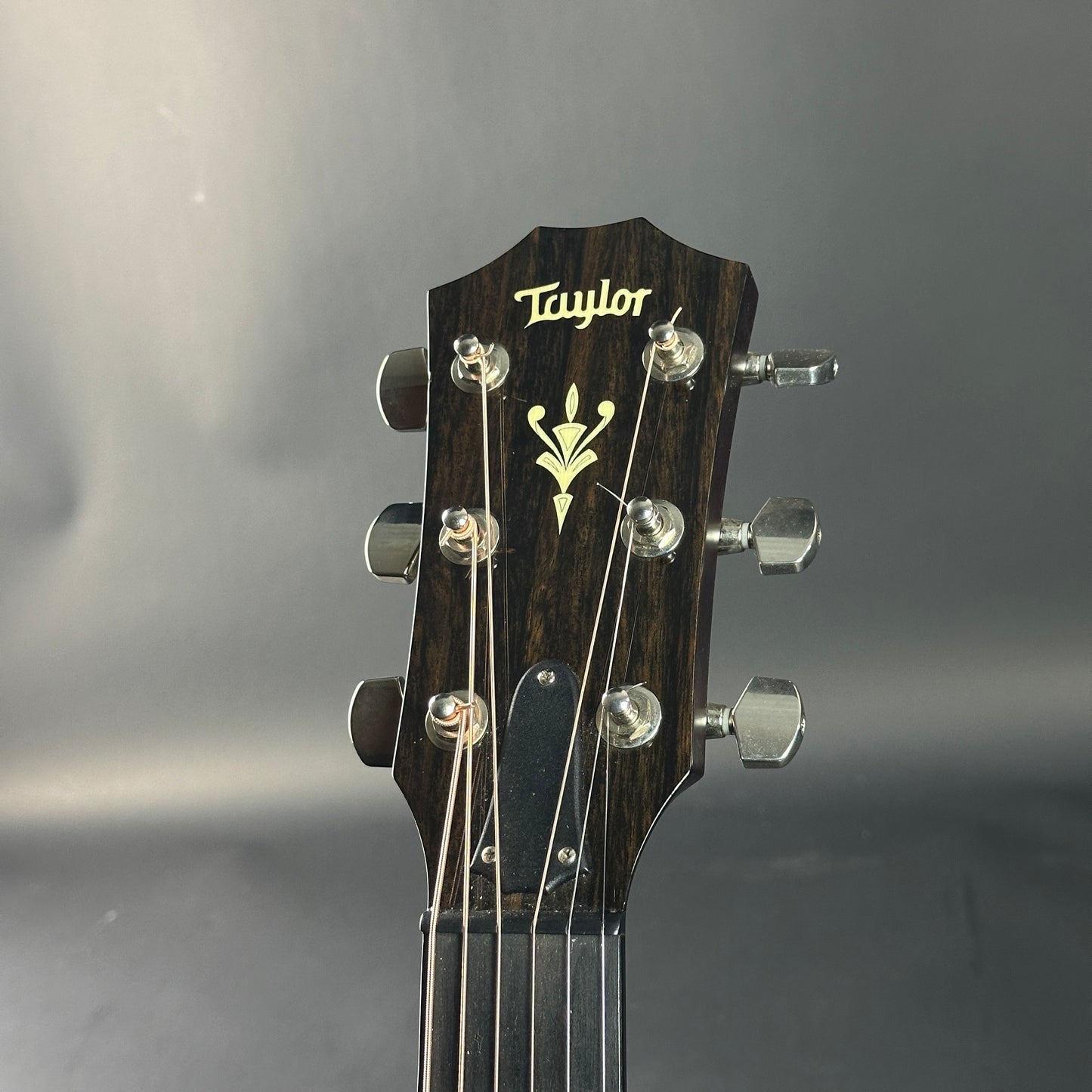 Taylor guitar headstock on a gray background