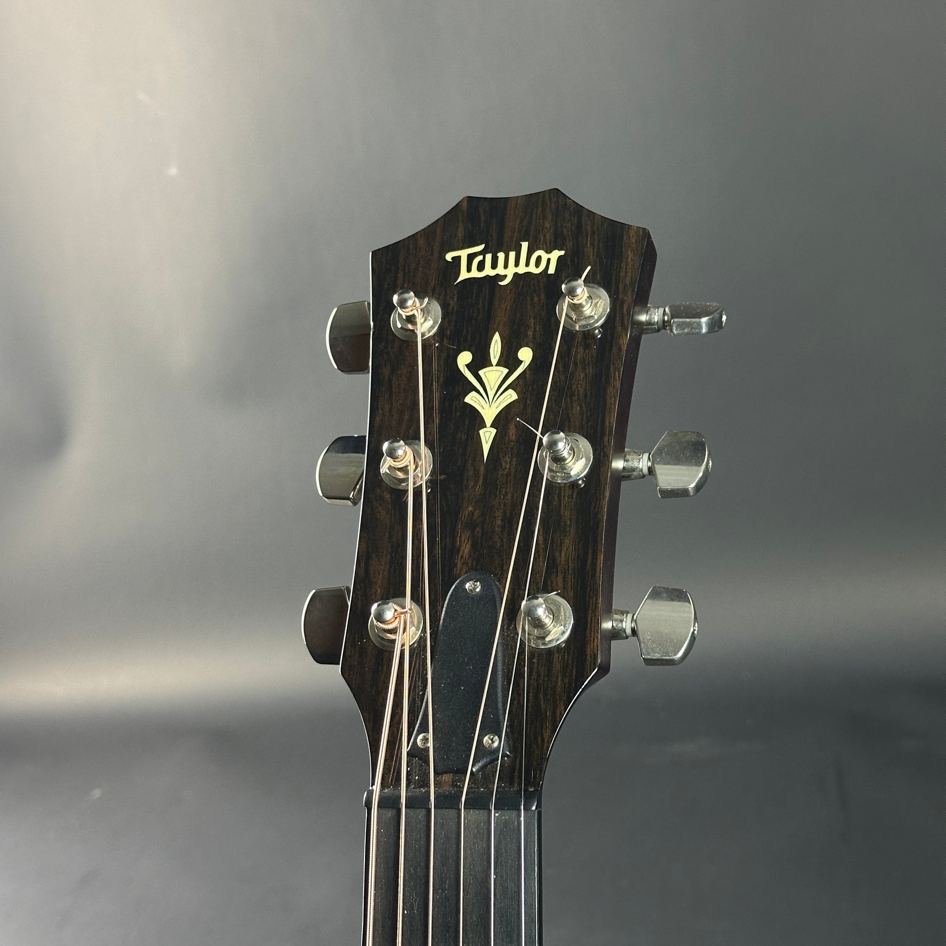 Taylor guitar headstock on a gray background