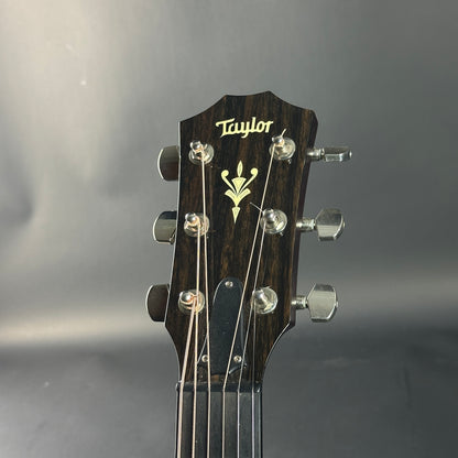 Taylor guitar headstock on a gray background