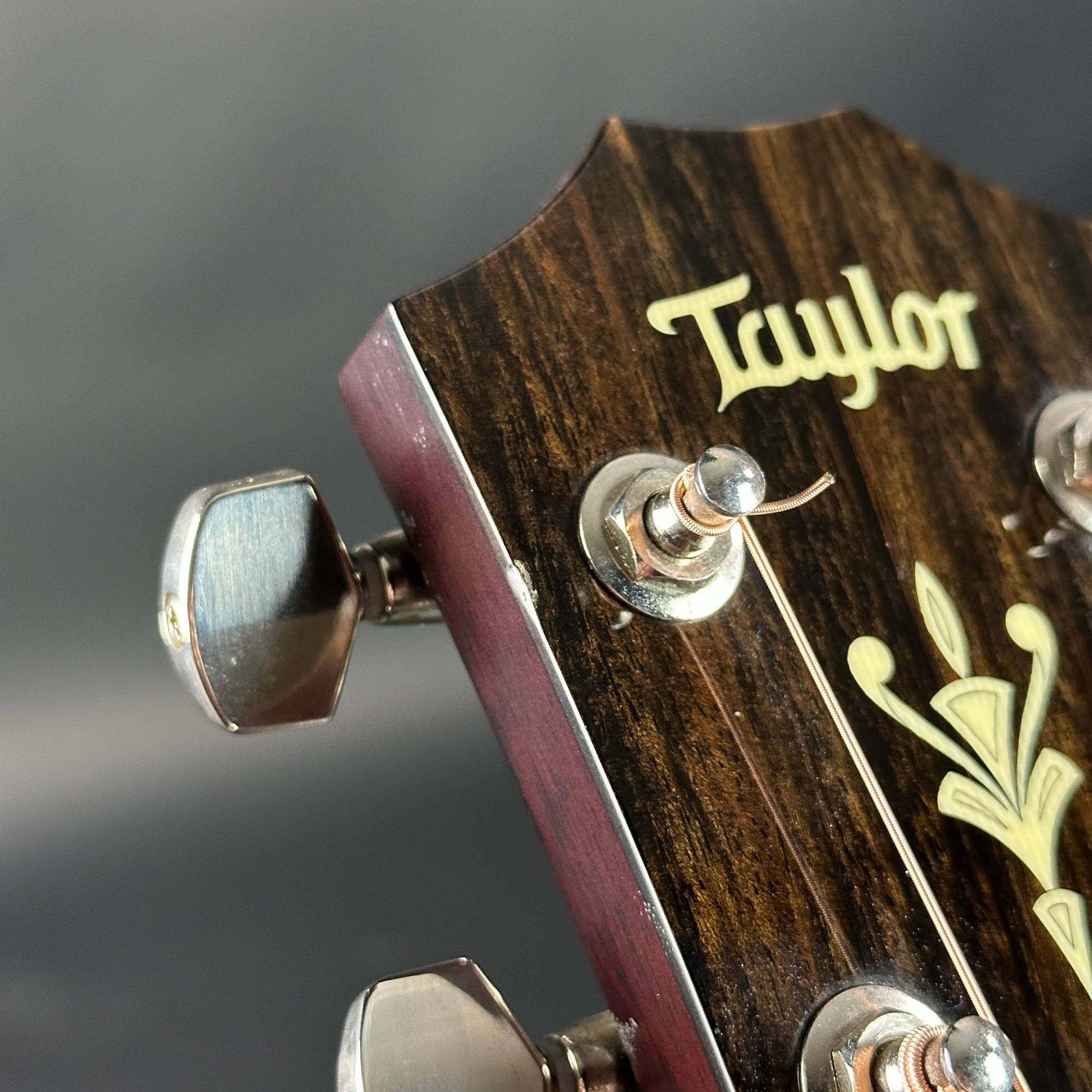 Close-up of a Taylor guitar headstock with tuning pegs and brand name.