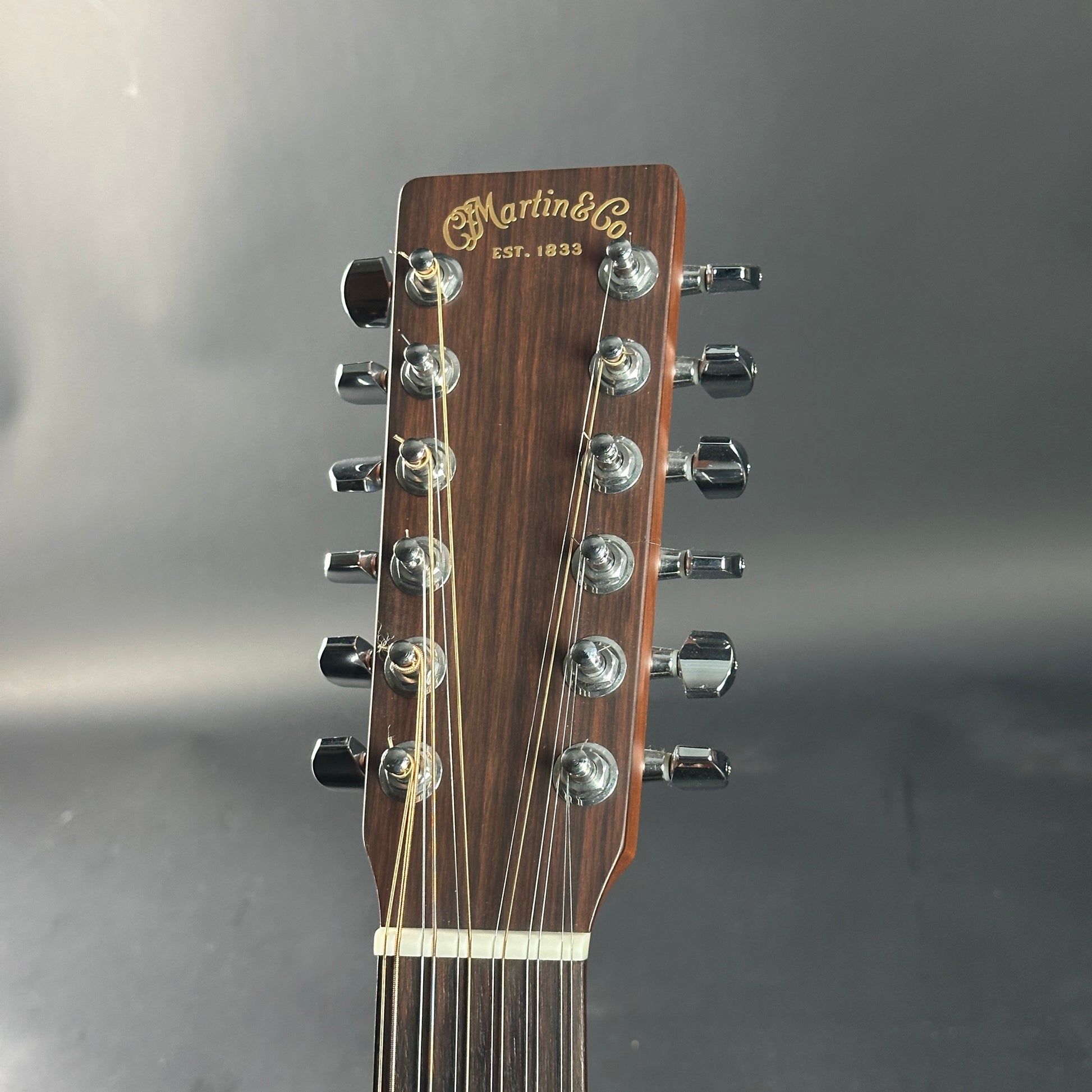 Guitar headstock with 'Martin & Co.' branding on a gray background