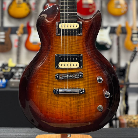 Brown electric guitar with a blurred background of other guitars