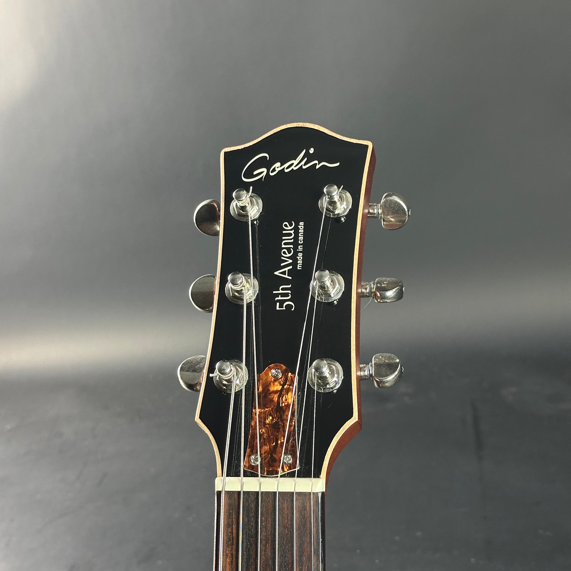 Guitar headstock with 'Godin' branding on a gray background