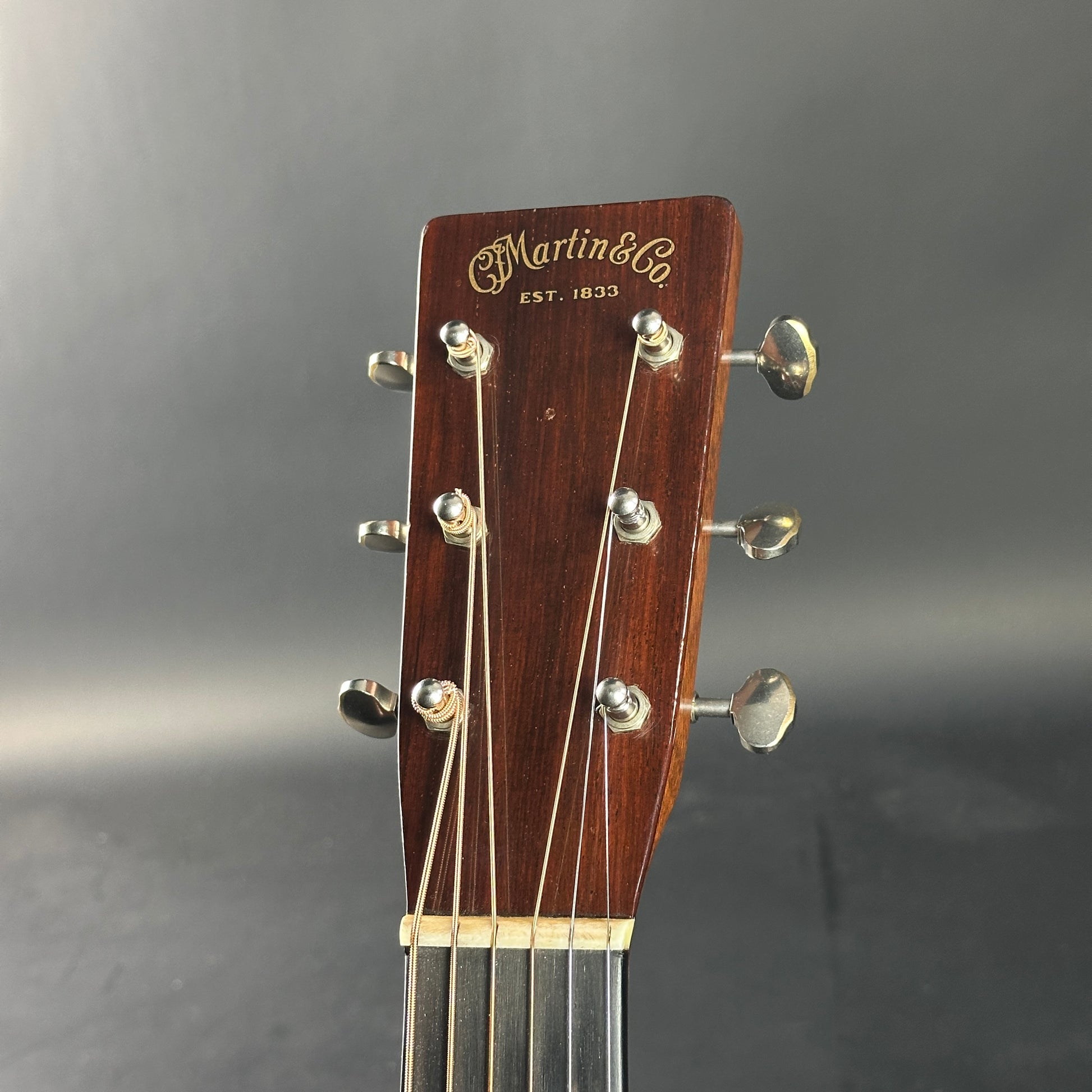Guitar headstock with 'Martin & Co.' branding on a gray background