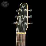 Guitar headstock with brand logo on a black background
