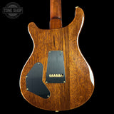 Wooden electric guitar back with visible brand logo on a black background