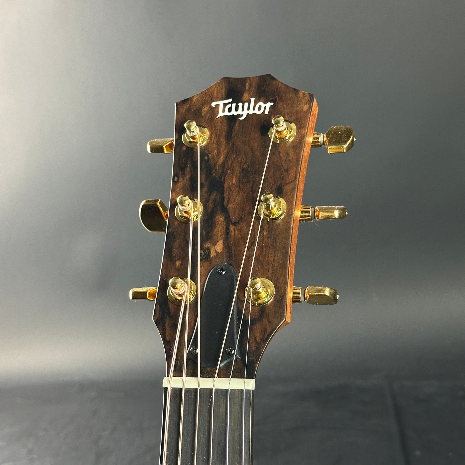 Taylor guitar headstock with tuning pegs on a gray background