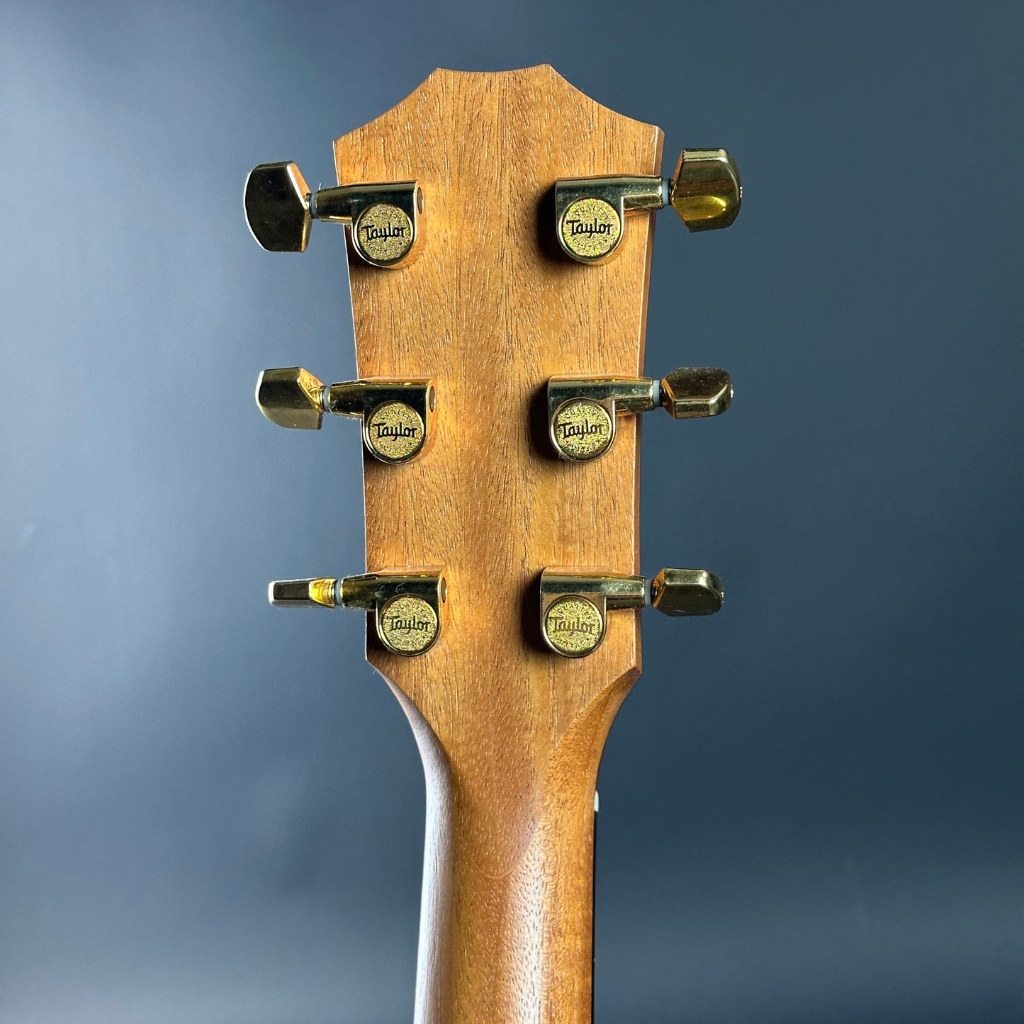 Close-up of a guitar headstock with tuning pegs on a dark blue background