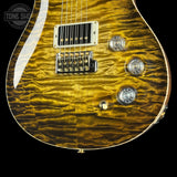 Detail shot of PRS Private Stock 12506 DGT Semi Hollow Tiger Eye Glow Brazilian RW Neck.