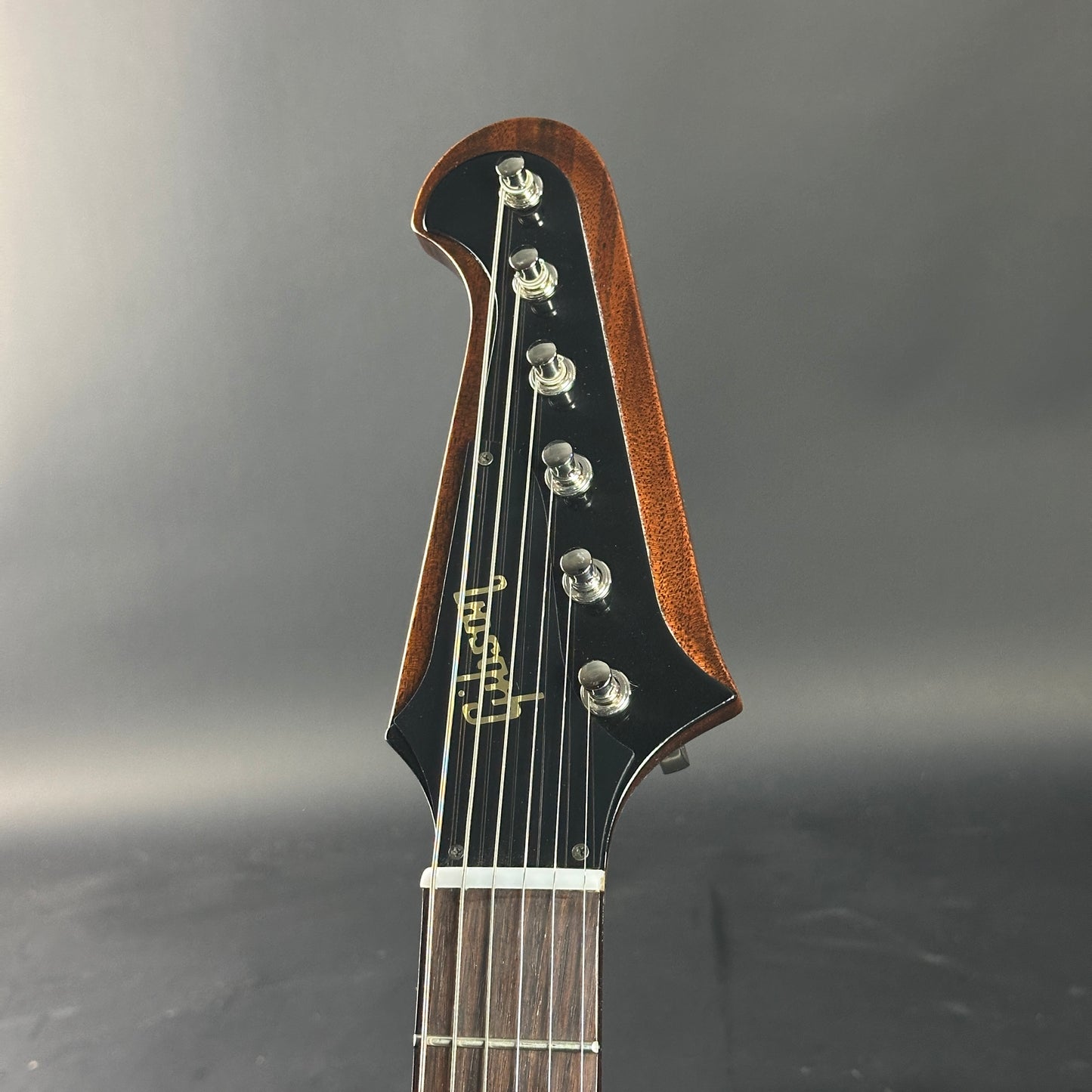 Guitar headstock with 'Gibson' branding on a gray background