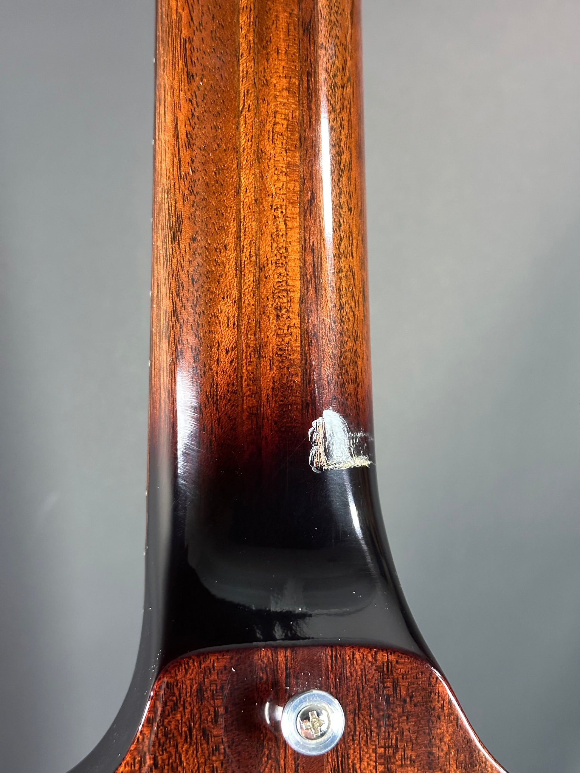 Close-up of a wooden handle with metal ferrules on a gray background