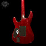 Back of Used 2007 Schecter Hellraiser C-1 Black Cherry.