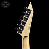Guitar headstock with brand logo on a black background