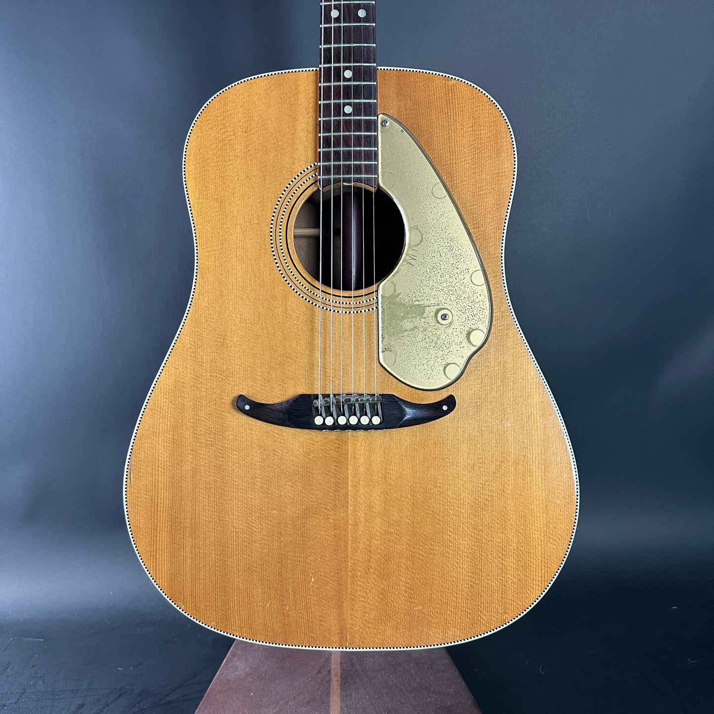 Acoustic guitar with a gold pickguard on a dark blue background