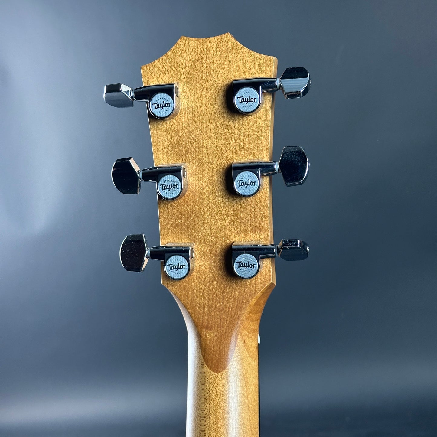 Back of headstock of Used Taylor Academy 20e.