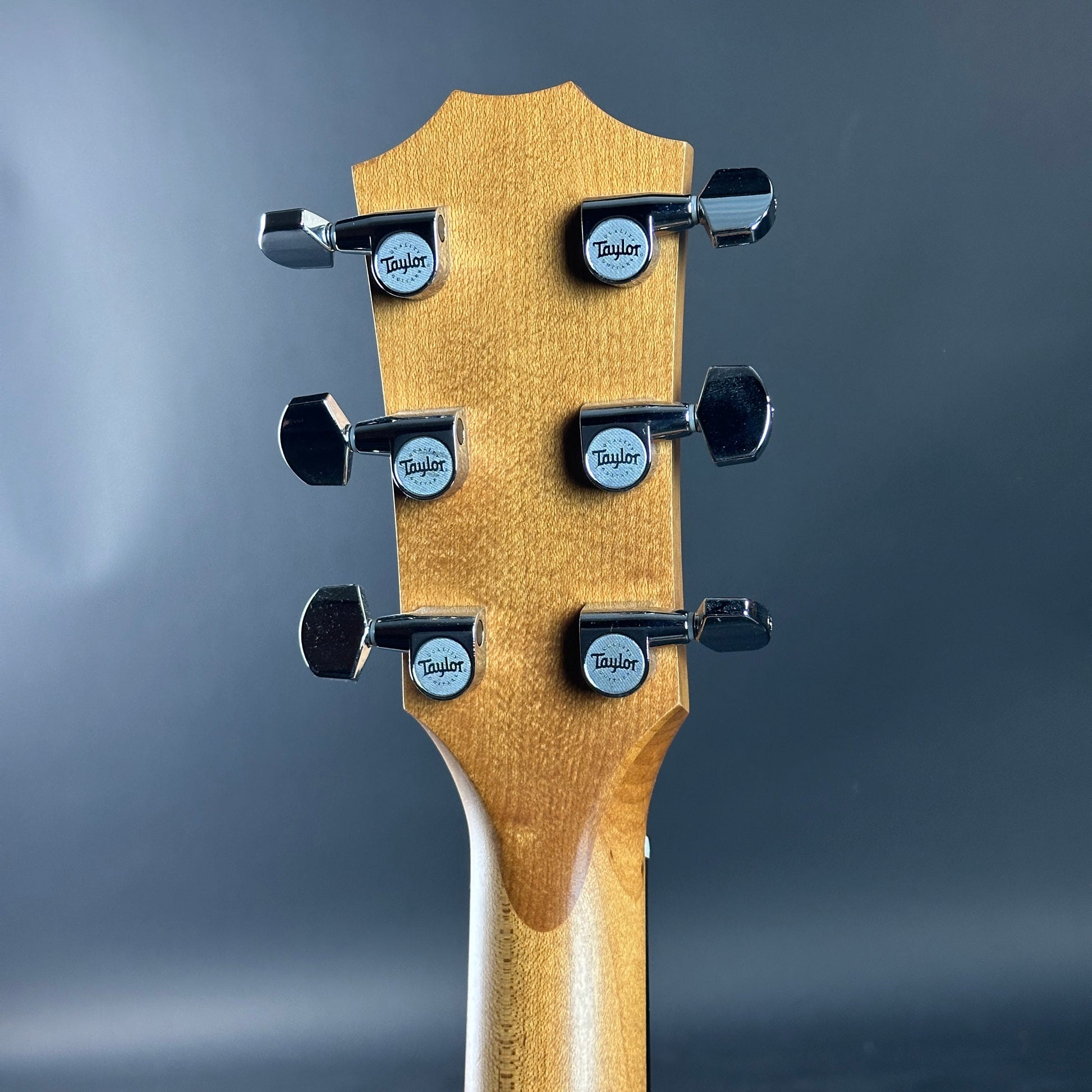 Back of headstock of Used Taylor Academy 20e.