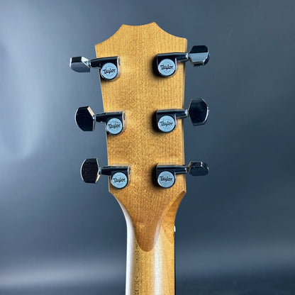 Back of headstock of Used Taylor Academy 20e.