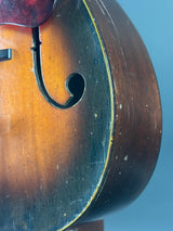 Close-up of a wooden instrument, likely a violin or viola, with a blue background.