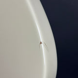 A close-up shot of a small, thin brown insect resting on the curved white edge of a glossy white toilet bowl, with a dark blue background visible on the right.